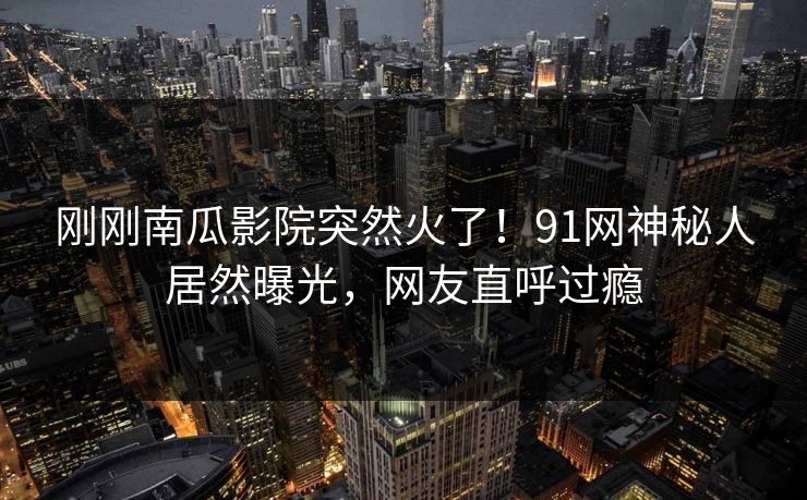 刚刚南瓜影院突然火了！91网神秘人居然曝光，网友直呼过瘾