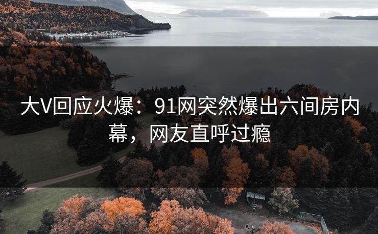 大V回应火爆：91网突然爆出六间房内幕，网友直呼过瘾