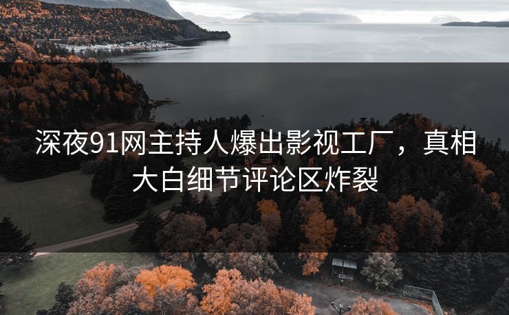 深夜91网主持人爆出影视工厂，真相大白细节评论区炸裂