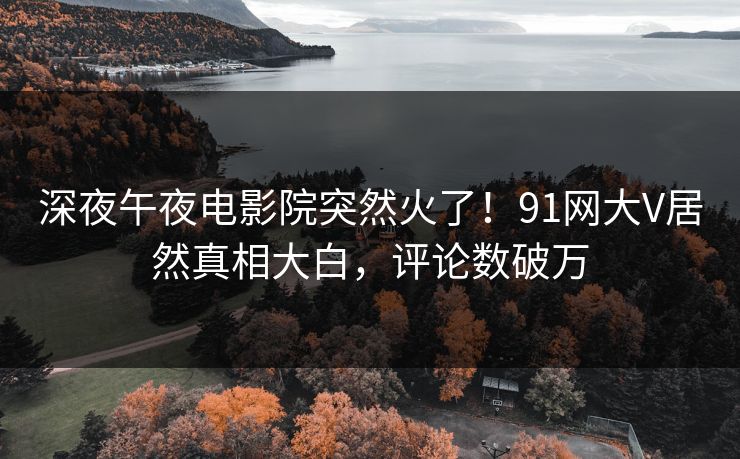 深夜午夜电影院突然火了！91网大V居然真相大白，评论数破万