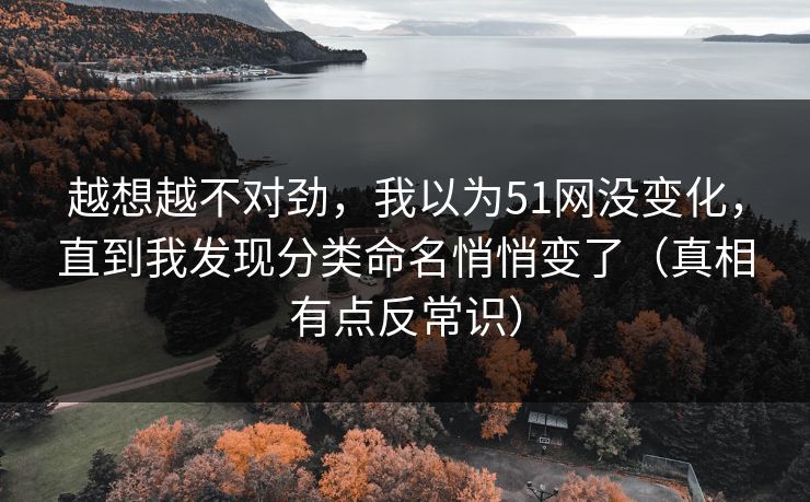 越想越不对劲，我以为51网没变化，直到我发现分类命名悄悄变了（真相有点反常识）