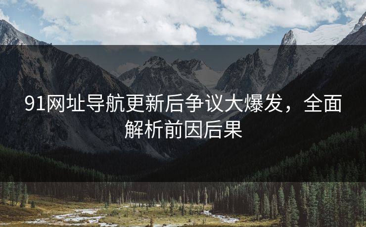 91网址导航更新后争议大爆发，全面解析前因后果